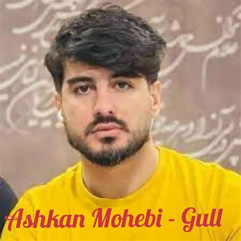 Gull - YouTube Music 