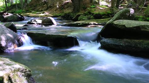 Water, Creek, Waterfall. Free Stock Video - Pixabay