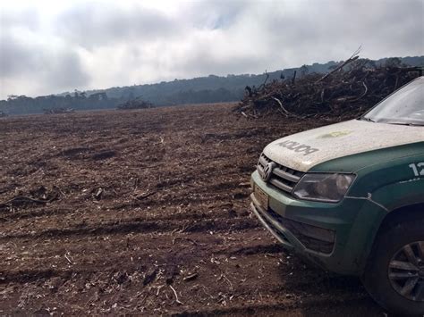 Pol Cia Ambiental Aplica Mais De R Mil Em Multas Por Destrui O De