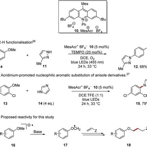 Direct Aryl Alkyl Ether Oxidation With Acridinium Catalyst 10