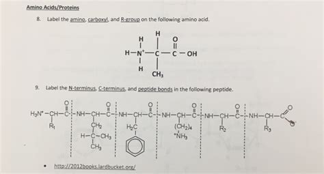 Solved Amino Acids/Proteins 8. Label the amino, carboxyl, | Chegg.com 