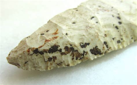 North american indian stone tools discovered in local backyard 14