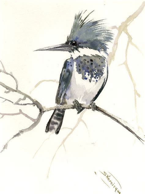 Belted Kingfisher X In Original Watercolor Painting Kingfisher