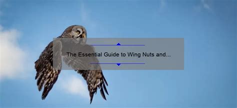 The Essential Guide to Wing Nuts and Bolts - baru-nuts.com