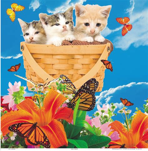Almanaque | N° 79 – Gatitos en Canasta | Ediciones Abedul