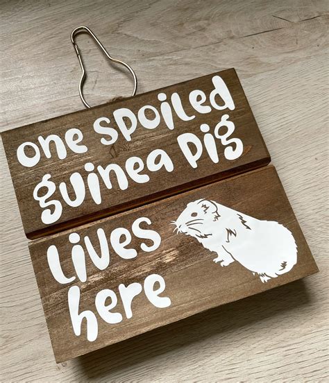 One Spoiled Guinea Pig Lives Here Wooden Sign Guinea Pig Cage Etsy