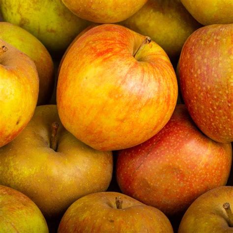 La Pomme spéciale compote en colis de 5kg variété mon marché fr