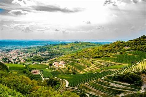 Your Essential Guide to Amarone Wine (2023) - WinePros