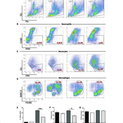 Phenotypical Profile Of M Cells Cells Obtained From Peritoneal Wash