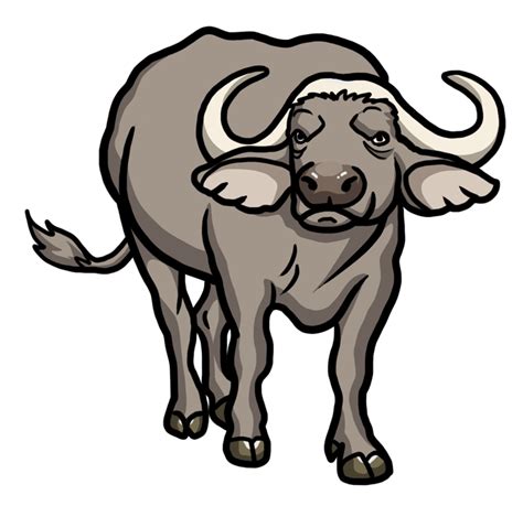 How to draw a Buffalo drawing – Easy guides - EASY TO DRAW EVERYTHING