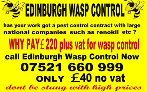 Wasp Nest Removal Edinburgh Wasp Control Midlothian