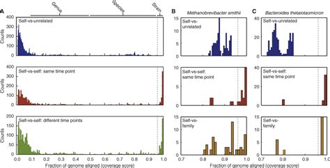The Long-Term Stability of the Human Gut Microbiota | Science 