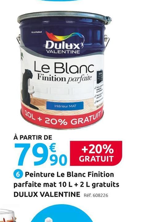 Promo Dulux Valentine Peinture Le Blanc Finition Parfaite Mat 10 L 2