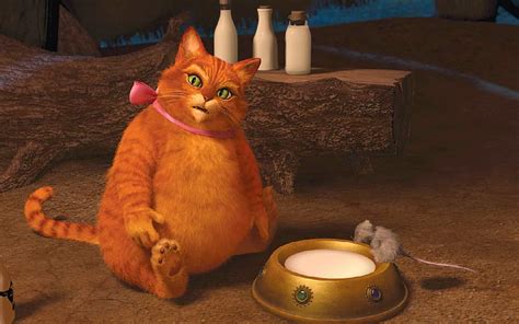 HD wallpaper: orange tabby cat illustration, red, bow, Shrek forever, fat, lupul | Wallpaper Flare