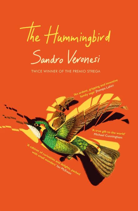 RivetingReviews Rosie Goldsmith Reviews THE HUMMINGBIRD By Sandro