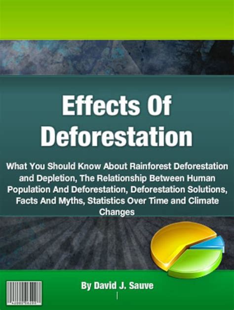 Effects Of Deforestation What You Should Know About Rainforest