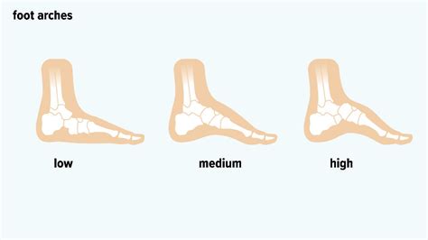 Types Of Feet Can Foot Shape Determine Your Ancestry Or Personality