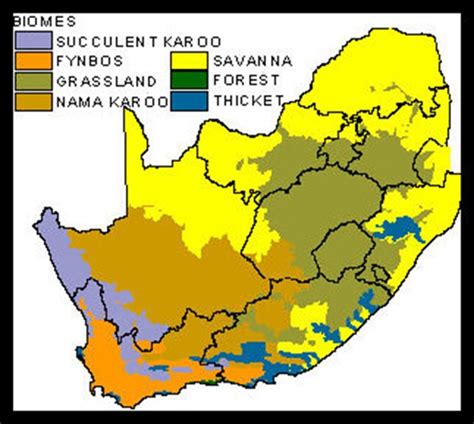 Africa Biome Map