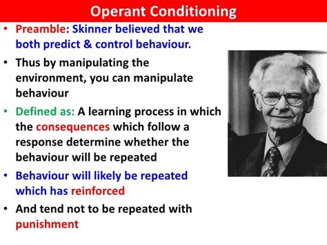 Skinner Box - VCE U4 Psychology