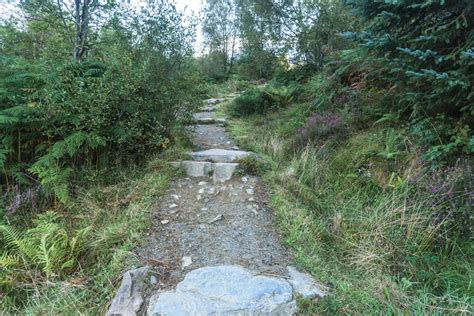 Ben Lomond Trail Photo Guide — See Loch Lomond :: What to do in Loch ...