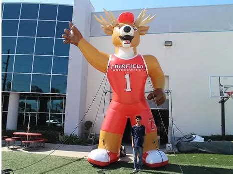 2023 New Custom Inflatable Fairfield University Mascot The Stag ...