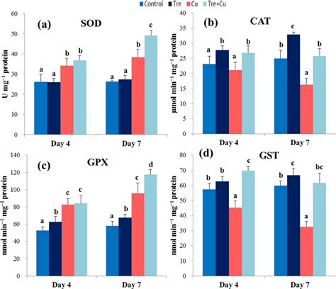 Effect Of Exogenous Trehalose On The Activities Of Antioxidant Enzymes