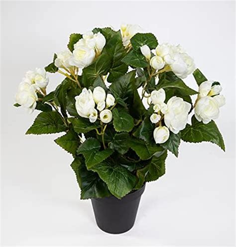 Amazon de Seidenblumen Roß Begonie 38cm weiß im Topf LM Kunstpflanzen