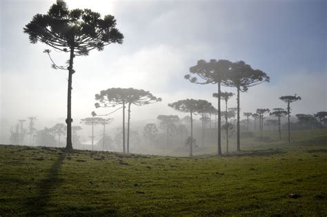 Pequenos nevoeiros transformam cenas já lindas em paisagens fantásticas