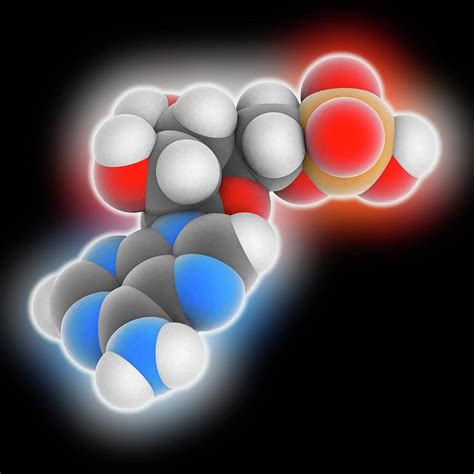 Adenosine Monophosphate Molecule Photograph by Laguna Design