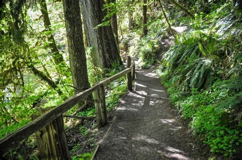 Hall Of Mosses Olympic National Park Trail Guide Go Wander Wild