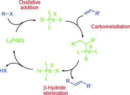 The HeckMizoroki Cross Coupling Reaction A Mechanistic Perspective