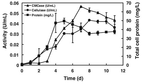 Cellulase And Cmcase Activities Of Thermophilic Duselr7 During The