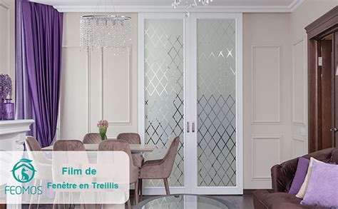 FEOMOS Film Dépoli pour Vitre à Treillis Transparent Film de Vitrage