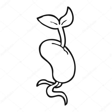 Seed Clipart Black And White