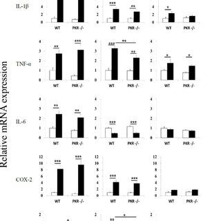 Relative mRNA expression profiles of IL 1β TNF α IL 6 COX 2 and