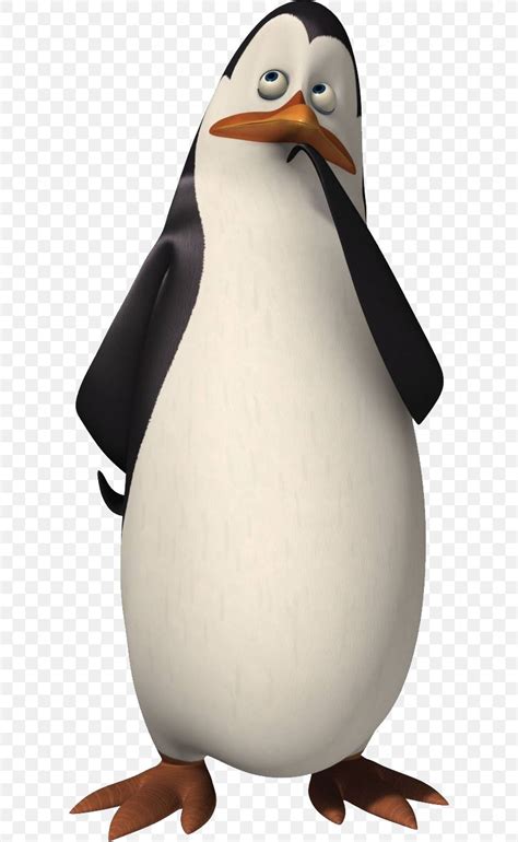 Skipper Kowalski Madagascar Charming Villain DreamWorks Animation, PNG ...