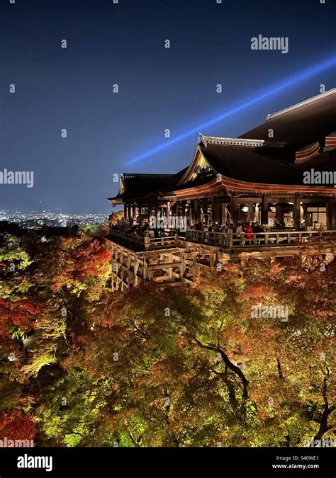 The famous Kiyomizu-dera Temple in Kyoto, Japan illuminated in fall during a special light up ...