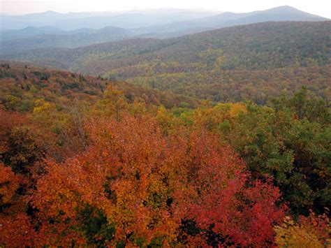 Elevation of NC-, Boone, NC, USA - Topographic Map - Altitude Map