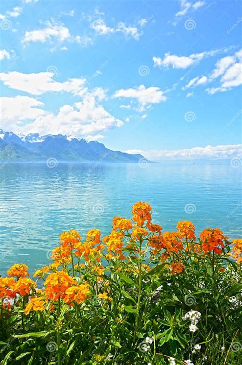 Flowers Against Mountains And Lake Geneva From The Embankment In