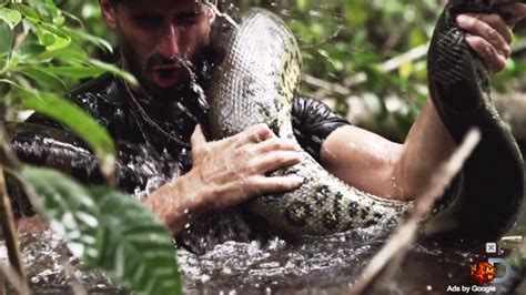 Eaten Alive Paul Rosolies Attempt To Be Swallowed By Anaconda