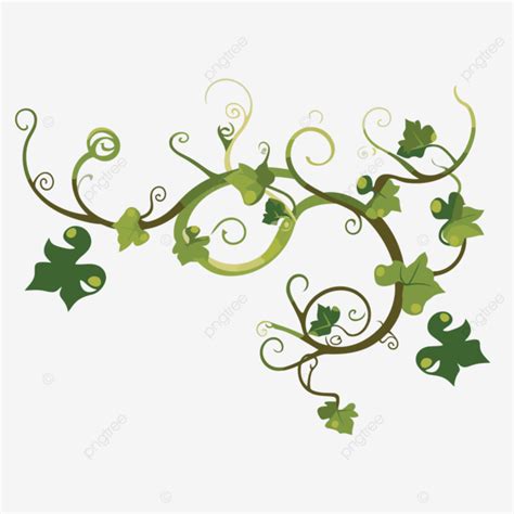 Vine Clipart Ivy Vine Plant Vector Design Vector Design Cartoon Plant