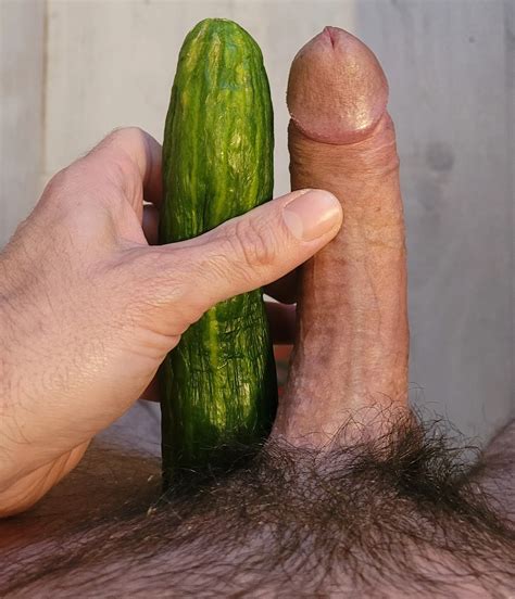 Cucumber In My Ass Nude Pics XHamster