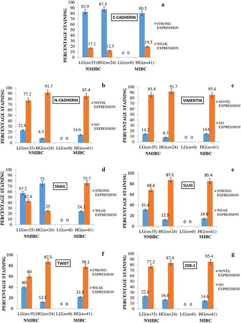 Graphical Representation Of Percent Immunohistochemical Ihc Download Scientific Diagram