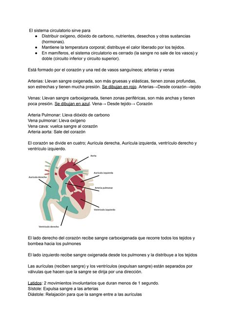 SOLUTION Sistema Circulatorio Biolog A Studypool