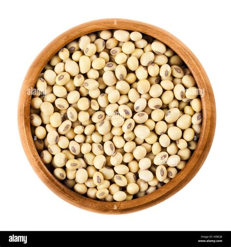 Soy Bean Glycine Max Cut Out Stock Images And Pictures Alamy