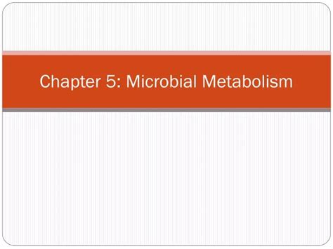 Ppt Chapter 5 Microbial Metabolism Powerpoint Presentation Free