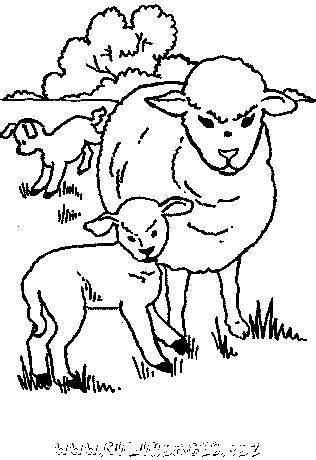 Coloriage Moutons Gratuit Animaux