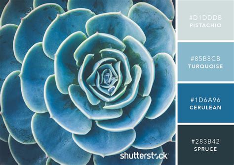 101 Color Combinations To Inspire Your Next Design Succulent Blue