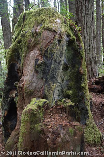 Jug Handle State Natural Reserve » Closing California Parks