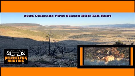 2022 Colorado First Season Elk Hunting YouTube